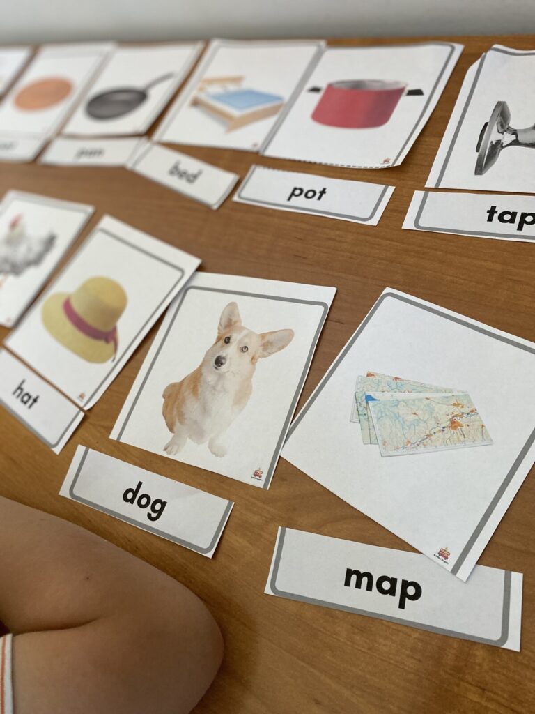 Karty obrazkowe z angielskimi słowami — hat, dog, pot, map, tap — ułożone na stole podczas lekcji