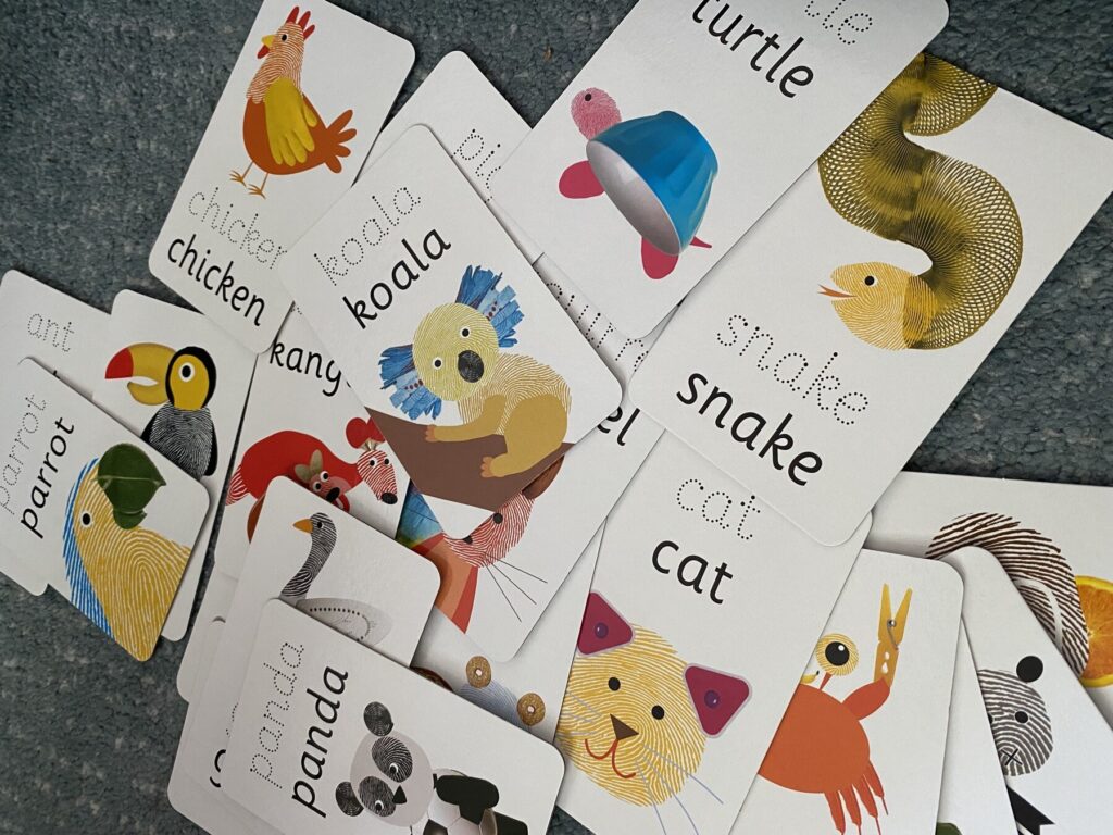 Angielskie karty obrazkowe ze zwierzętami — turtle, snake, cat, koala, panda, parrot — rozłożone na podłodze